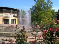 Летний парк Летний парк