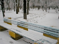 Городской парк Городской парк