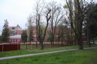 Школа 1 Школа 1