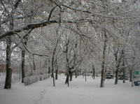 Городской парк Городской парк