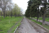 Аллея в Парке Победы Аллея в Парке Победы