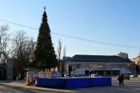 Городская елка Городская елка